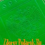 Обложка для паспорта, Герб и гимн России, тисненая кожа, цвет зеленый