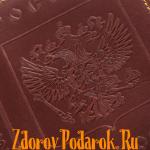 Обложка для паспорта, Герб и гимн России, тисненая кожа, цвет коричневый